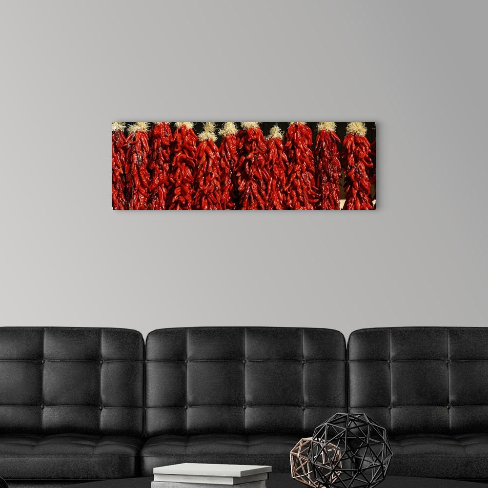 A modern room featuring Several bunches of red peppers hung out to dry in Taos County, New Mexico.