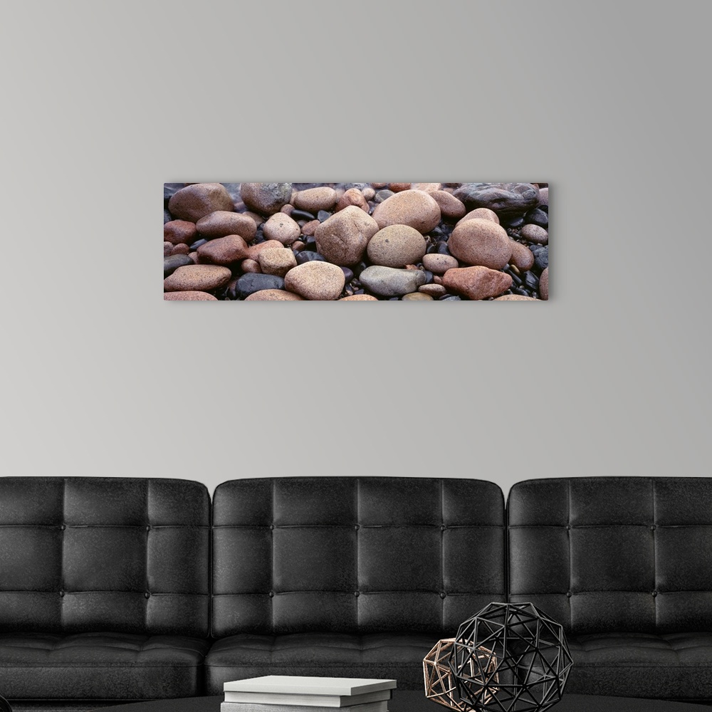A modern room featuring Close-up of rocks, Acadia National Park, Maine