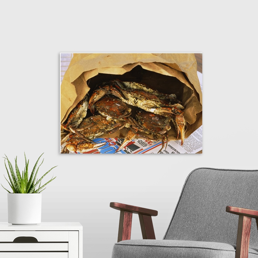 A modern room featuring Close-up of steamed crabs in a paper bag, Maryland