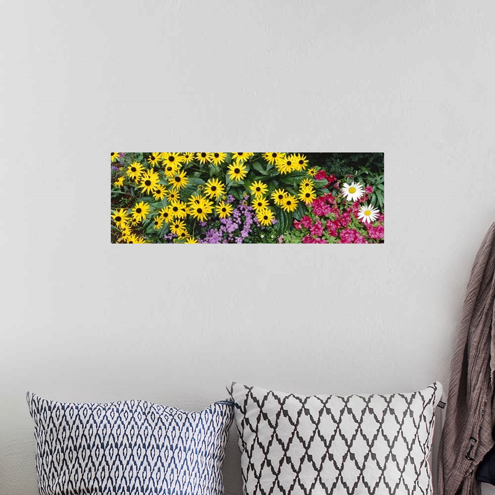 A bohemian room featuring Photograph of vivid blooming wildflowers in the Adirondack mountains in New York.