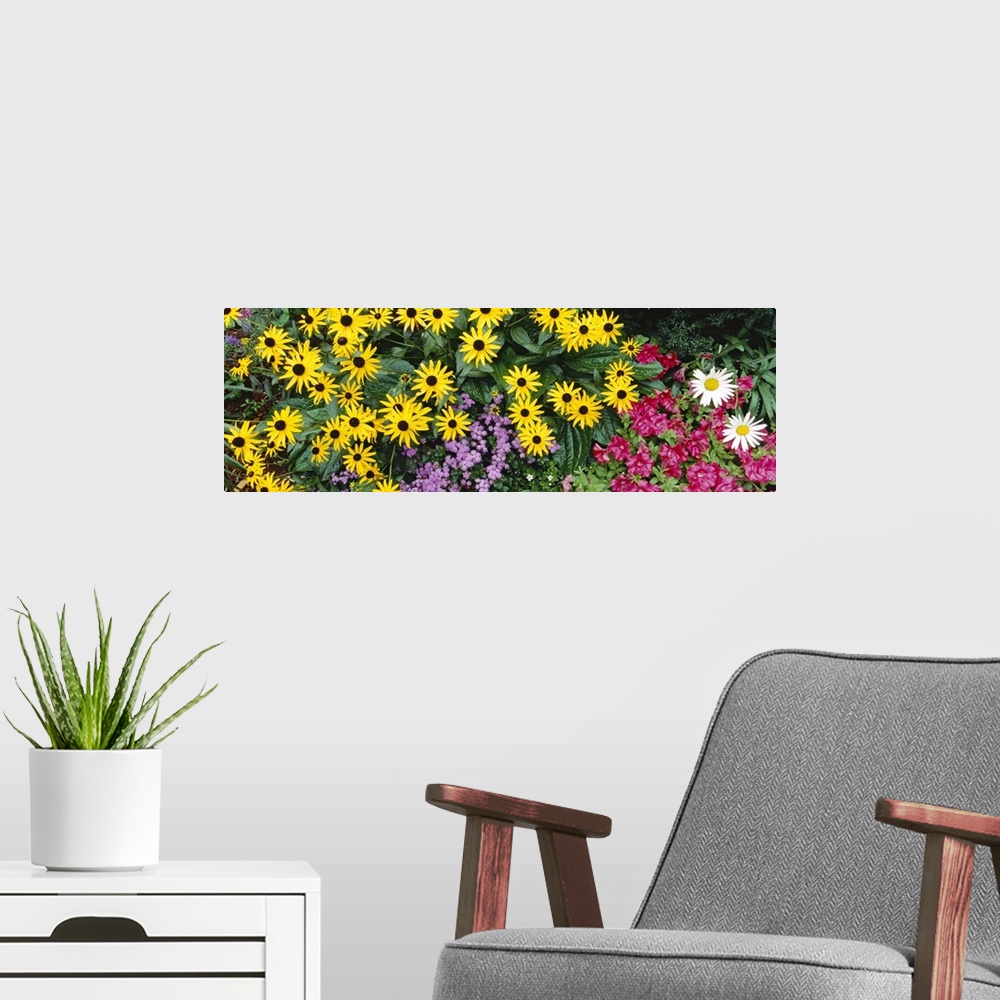 A modern room featuring Photograph of vivid blooming wildflowers in the Adirondack mountains in New York.