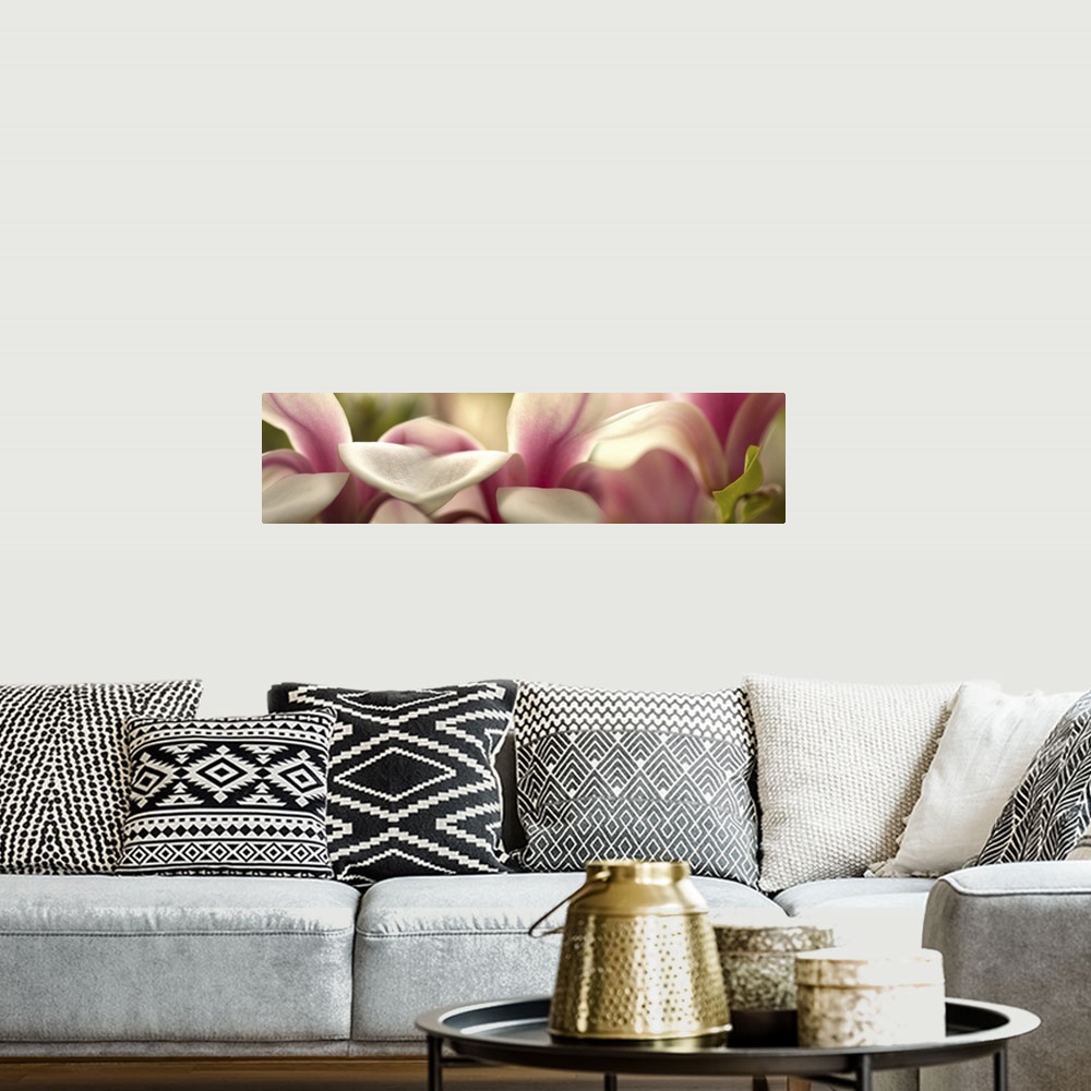 A bohemian room featuring Close-up of tulip flowers