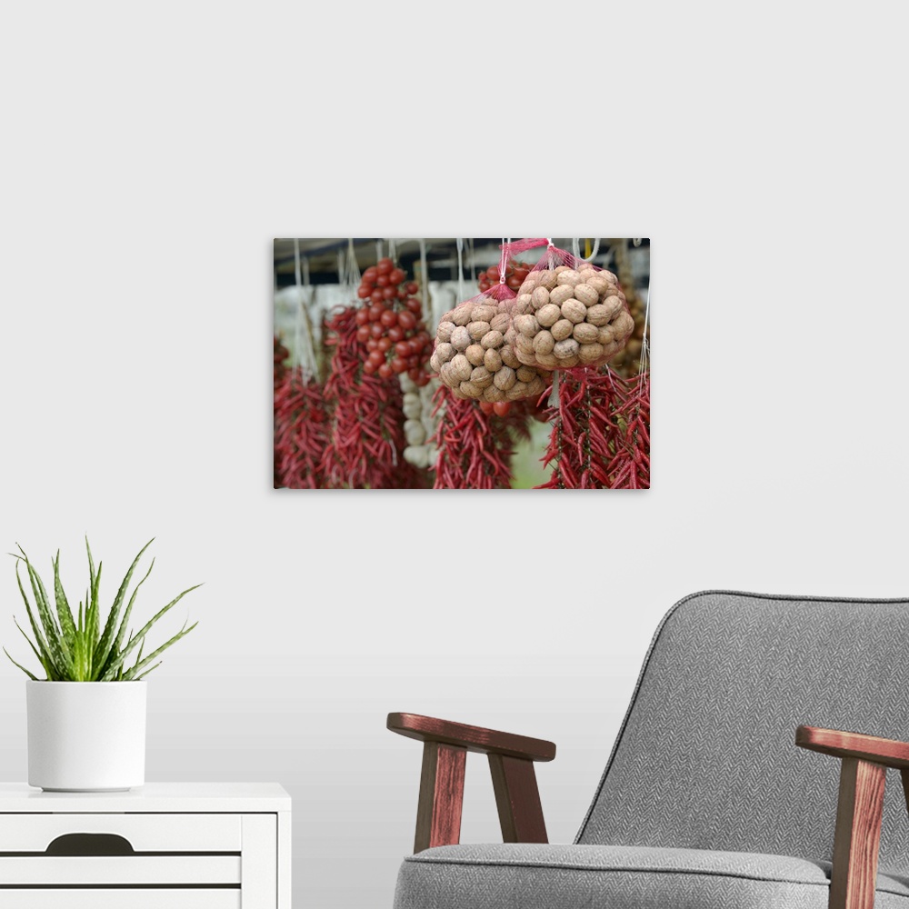 A modern room featuring Close-up of walnuts and red chili peppers hanging in a store, Positano, Amalfi Coast, Campania, I...