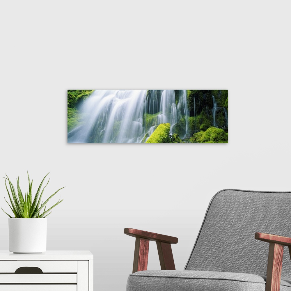 A modern room featuring Close-up of waterfall on moss covered rocks