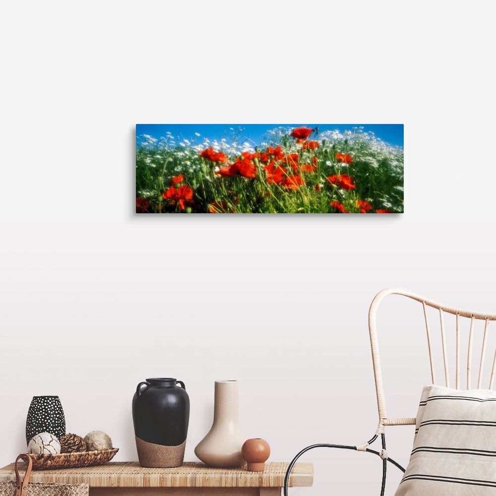 A farmhouse room featuring This panoramic shaped wall hanging is a photograph of summer blooms and their stalks swaying in t...