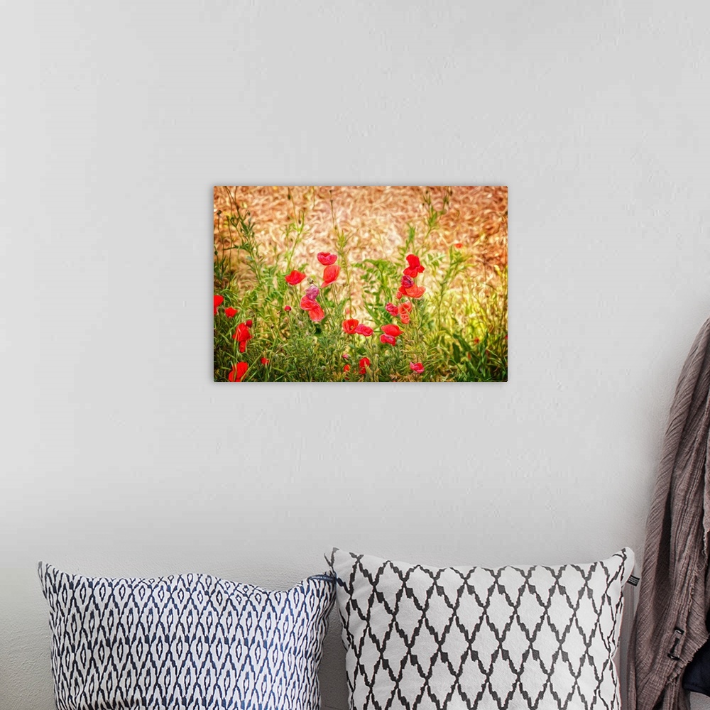 A bohemian room featuring Close-up of Wilting Poppies
