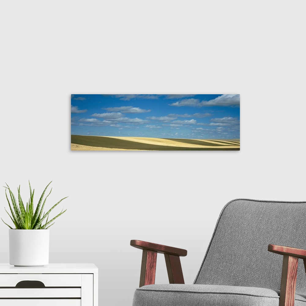 A modern room featuring Clouded sky over a striped field, Geraldine, Montana