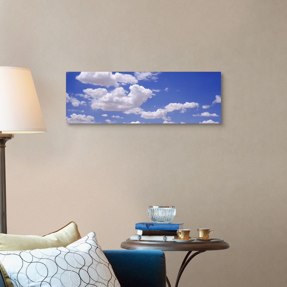 A traditional room featuring Giant, landscape photograph of a light blue sky with large, fluffy, white clouds.