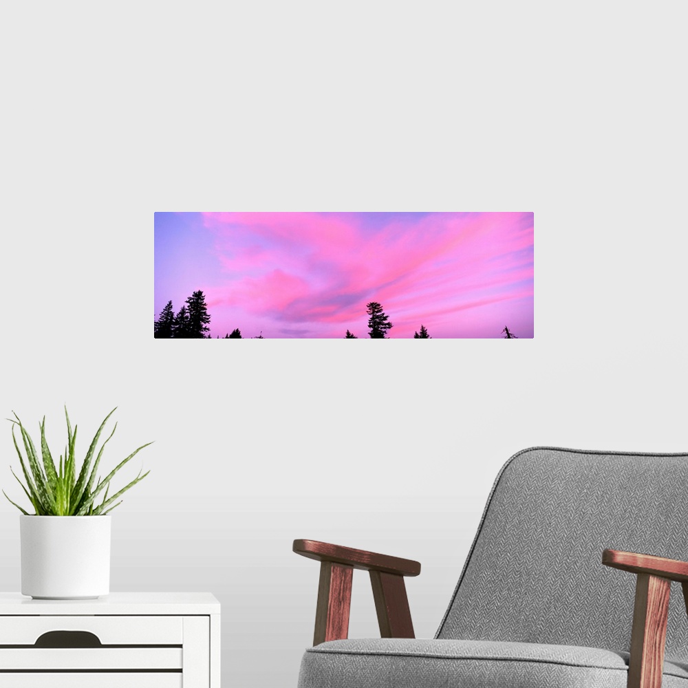 A modern room featuring Clouds Crater Lake OR