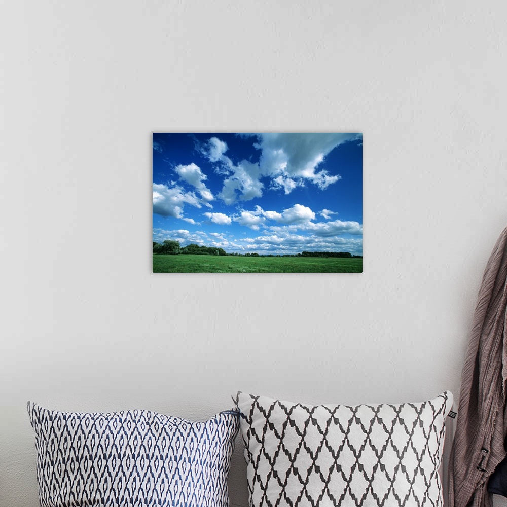 A bohemian room featuring Large clouds float in the sky over a vast green field with trees far off in the distance.