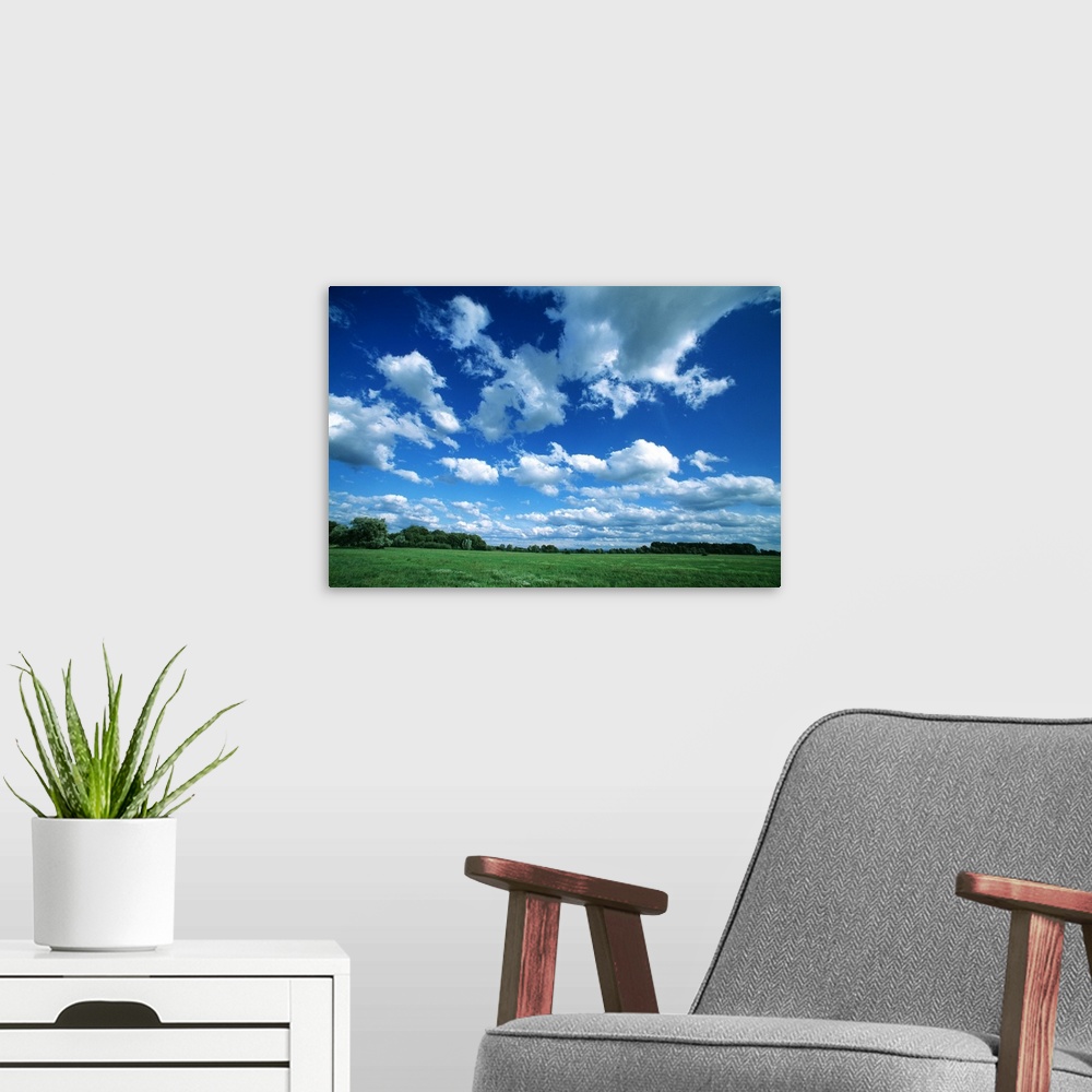 A modern room featuring Large clouds float in the sky over a vast green field with trees far off in the distance.