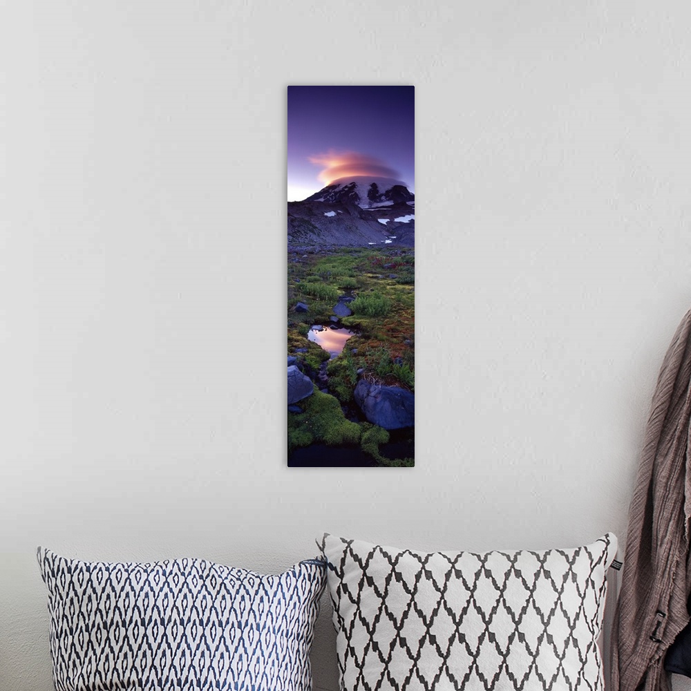 A bohemian room featuring Vertical, oversized photograph of vegetation on the landscape in front of Mount Rainier, the sett...