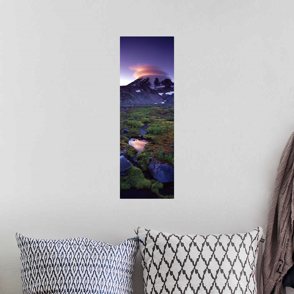A bohemian room featuring Vertical, oversized photograph of vegetation on the landscape in front of Mount Rainier, the sett...