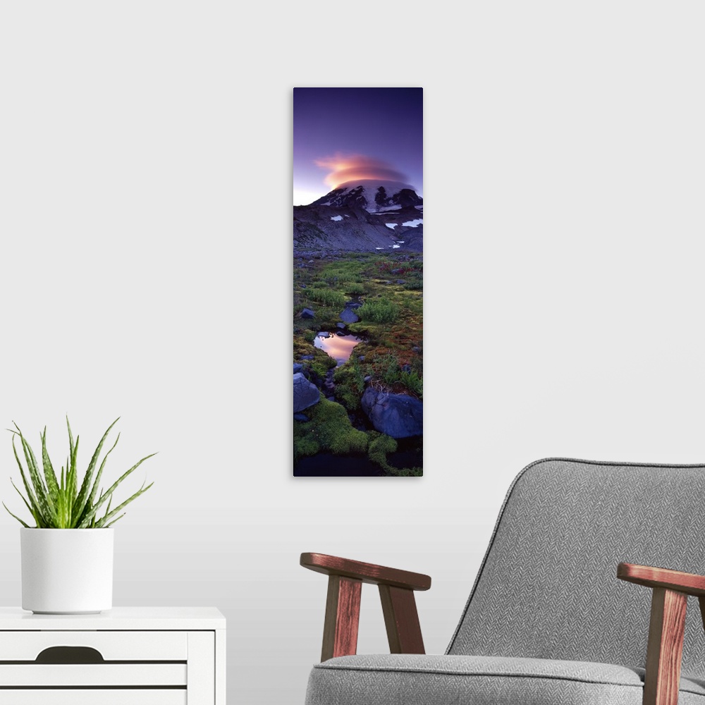 A modern room featuring Vertical, oversized photograph of vegetation on the landscape in front of Mount Rainier, the sett...