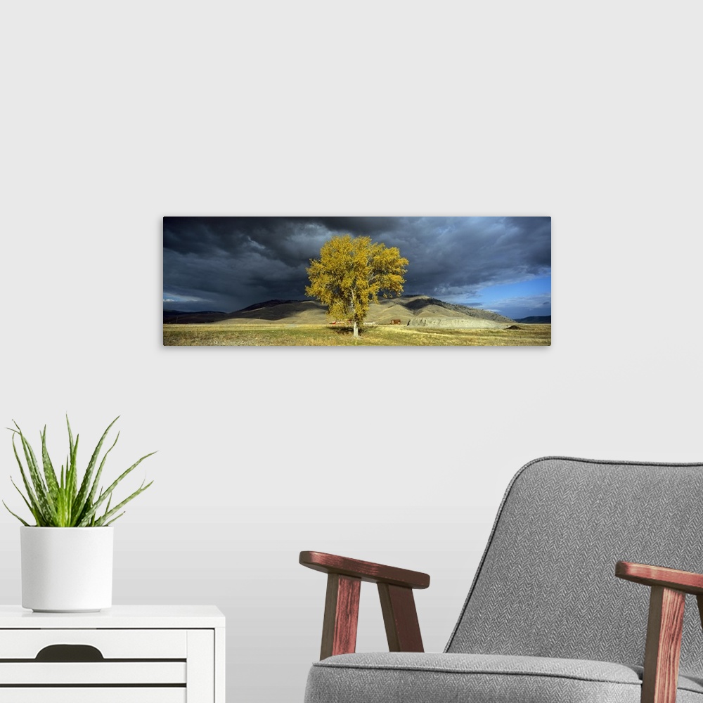 A modern room featuring Clouds over a tree with a mountain range in the background, Highway 28, Montana