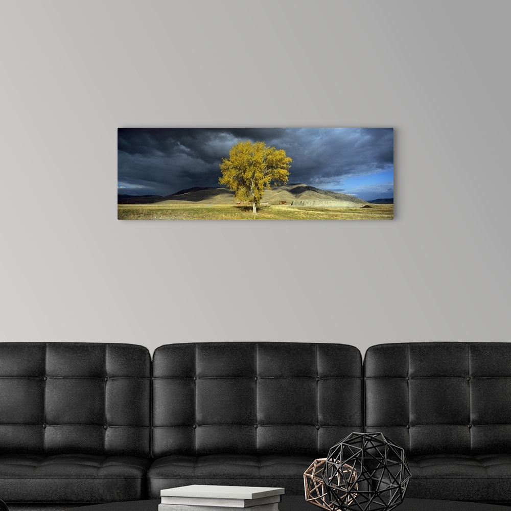 A modern room featuring Clouds over a tree with a mountain range in the background, Highway 28, Montana