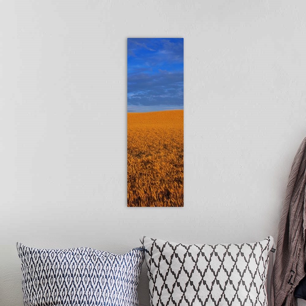 A bohemian room featuring Clouds Over a Wheat Field