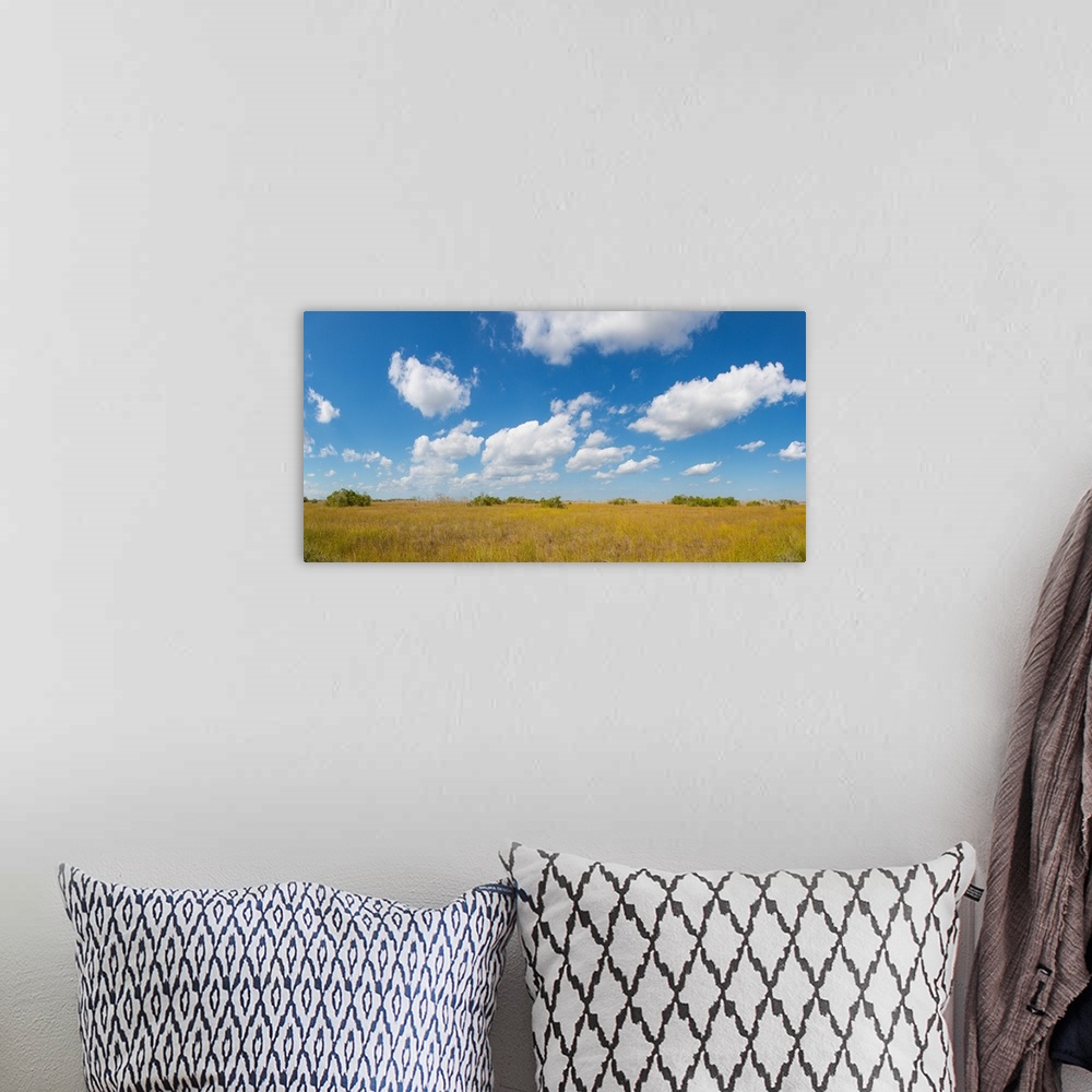 A bohemian room featuring Clouds over Everglades National Park, Florida