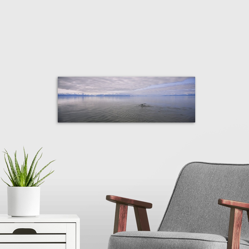 A modern room featuring Clouds over the sea, Frederick Sound, Alaska