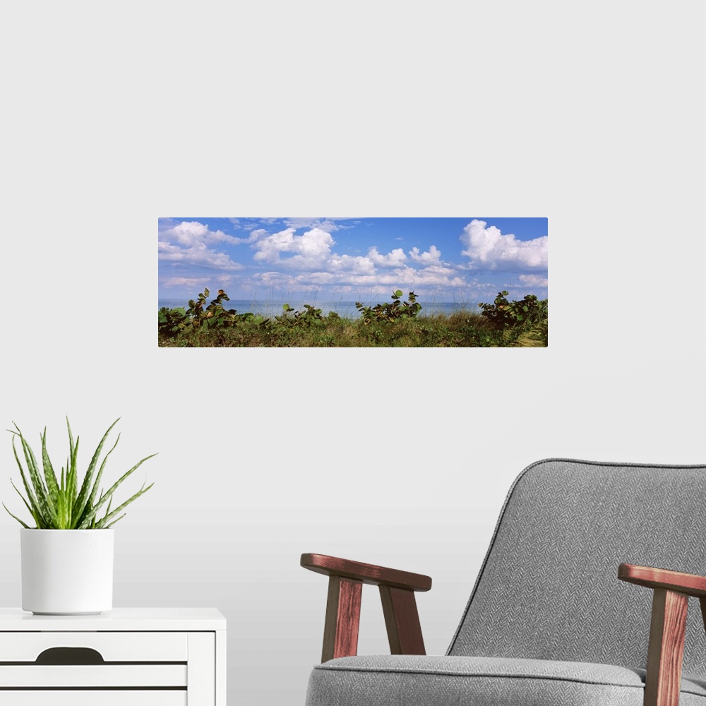 A modern room featuring Clouds over the sea, Tampa Bay, Gulf Of Mexico, Anna Maria Island, Manatee County, Florida