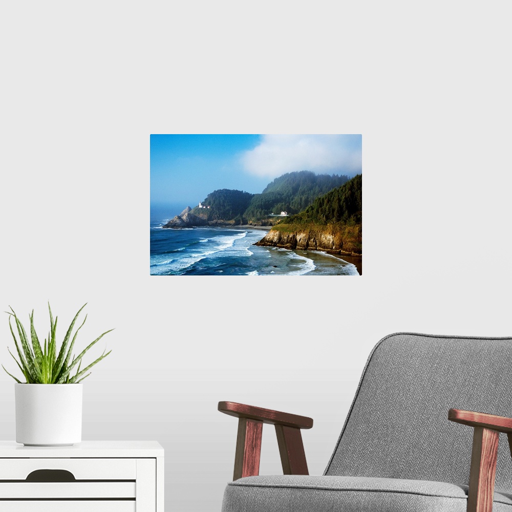 A modern room featuring This landscape photograph shows waves striking against rocky sea cliffs covered with conifer tree...