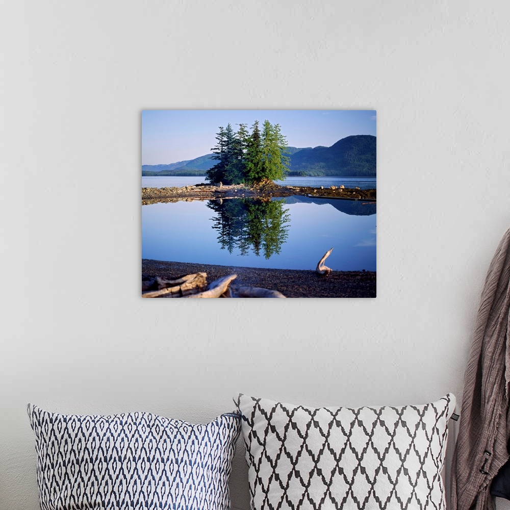 A bohemian room featuring Coastal scene with pine trees and water reflection, Inside Passage, Alaska