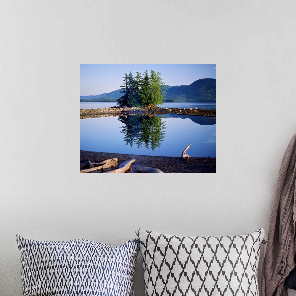 A bohemian room featuring Coastal scene with pine trees and water reflection, Inside Passage, Alaska