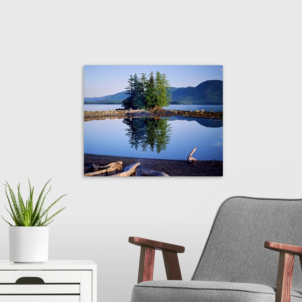 A modern room featuring Coastal scene with pine trees and water reflection, Inside Passage, Alaska