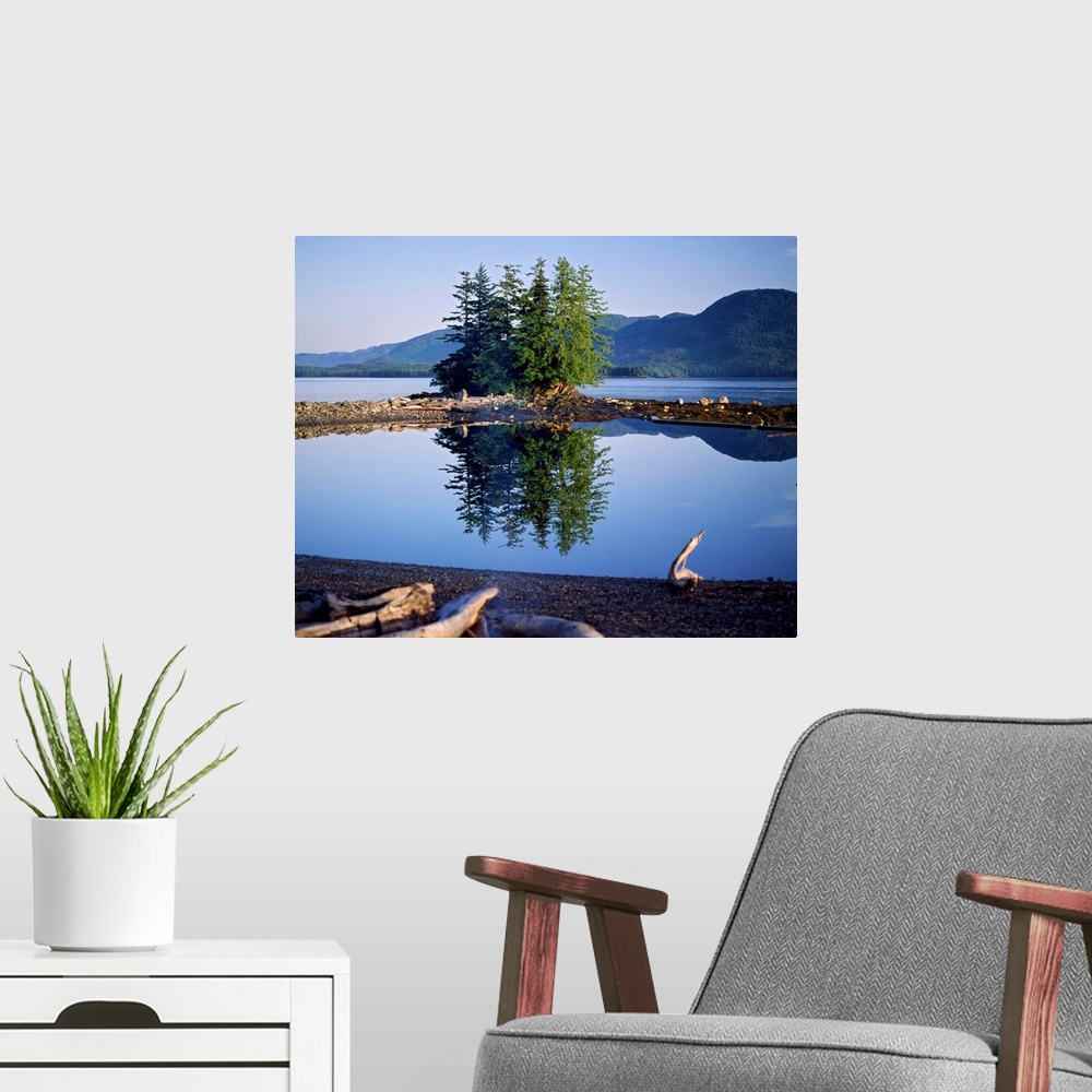 A modern room featuring Coastal scene with pine trees and water reflection, Inside Passage, Alaska