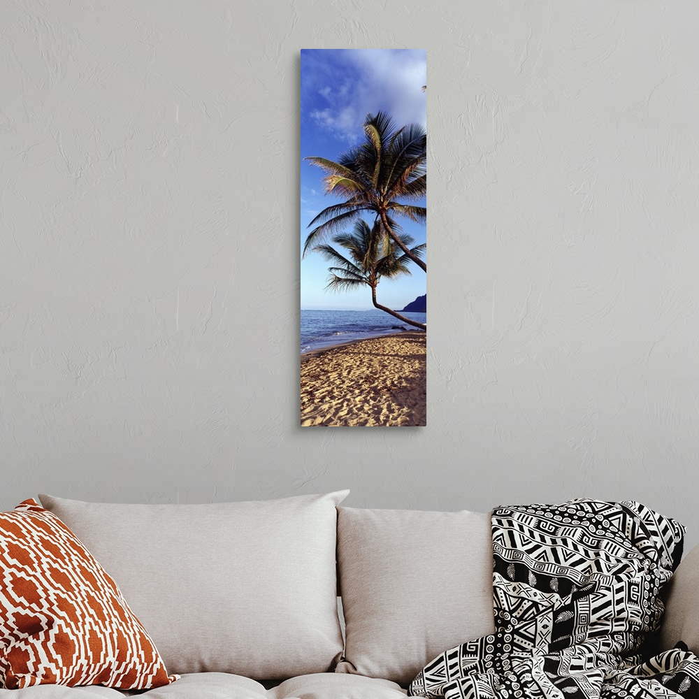 A bohemian room featuring Vertical panoramic image of crooked palm trees sticking out over a sandy beach on a clear day.