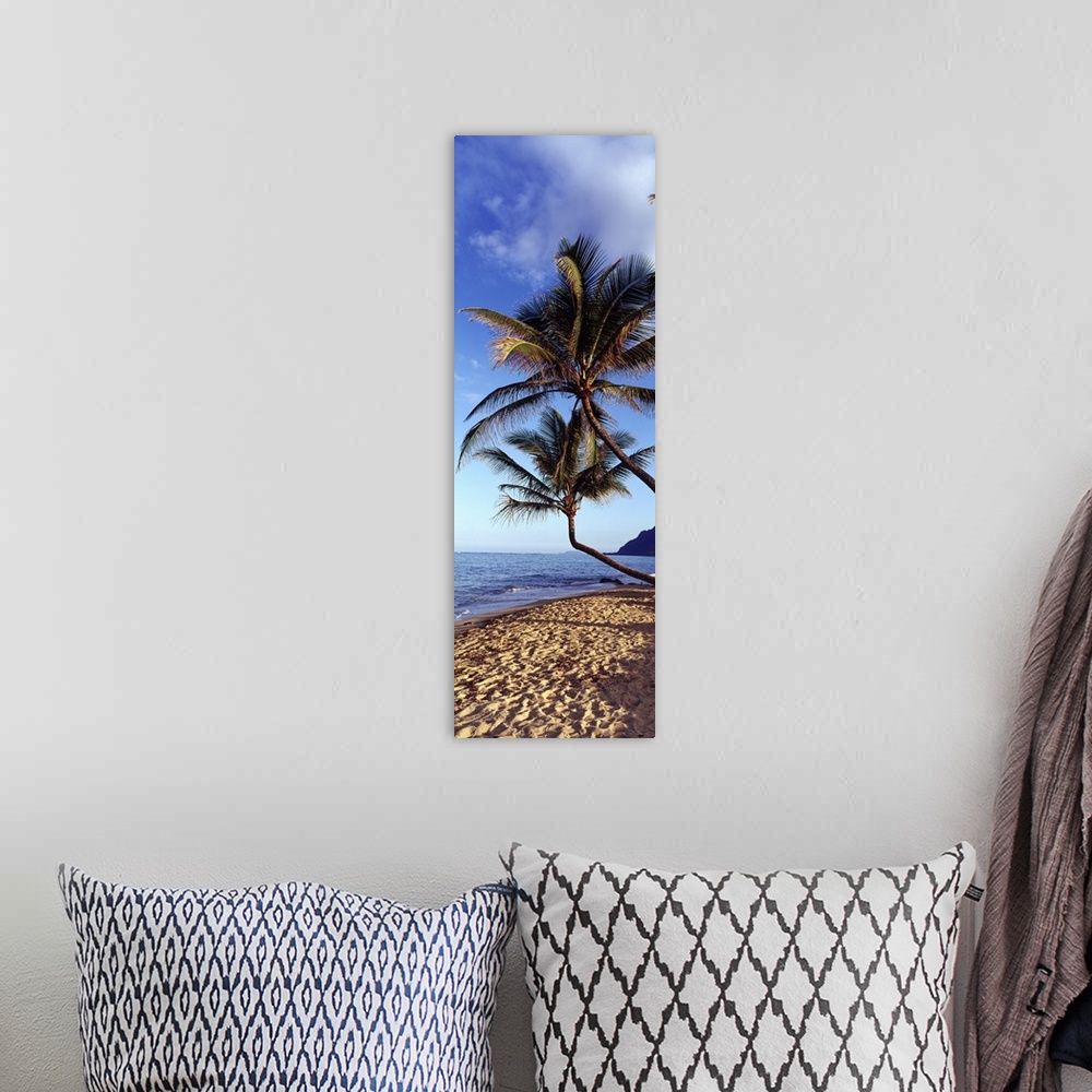 A bohemian room featuring Vertical panoramic image of crooked palm trees sticking out over a sandy beach on a clear day.