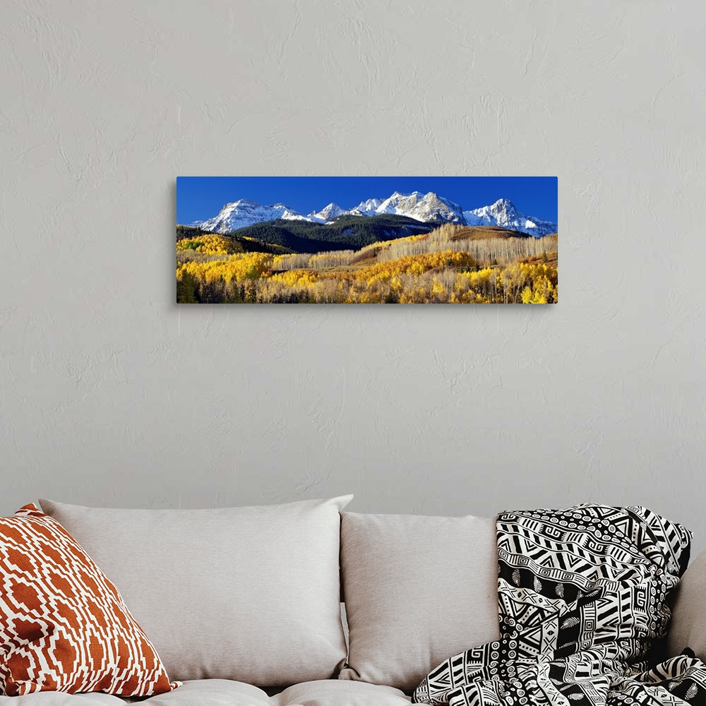 A bohemian room featuring A panoramic photograph taken of the Rocky Mountains in Colorado.  The bright trees in the foregro...