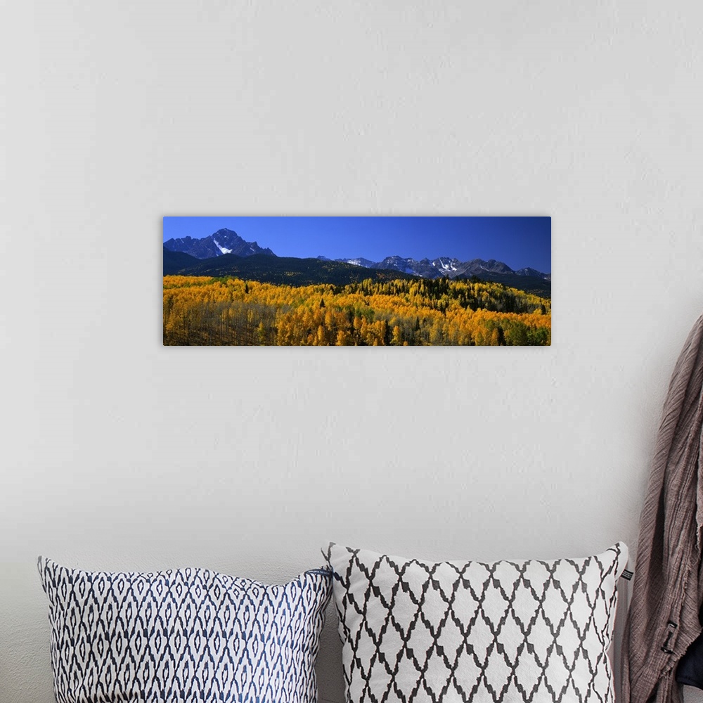 A bohemian room featuring Colorado, San Juan Mountains
