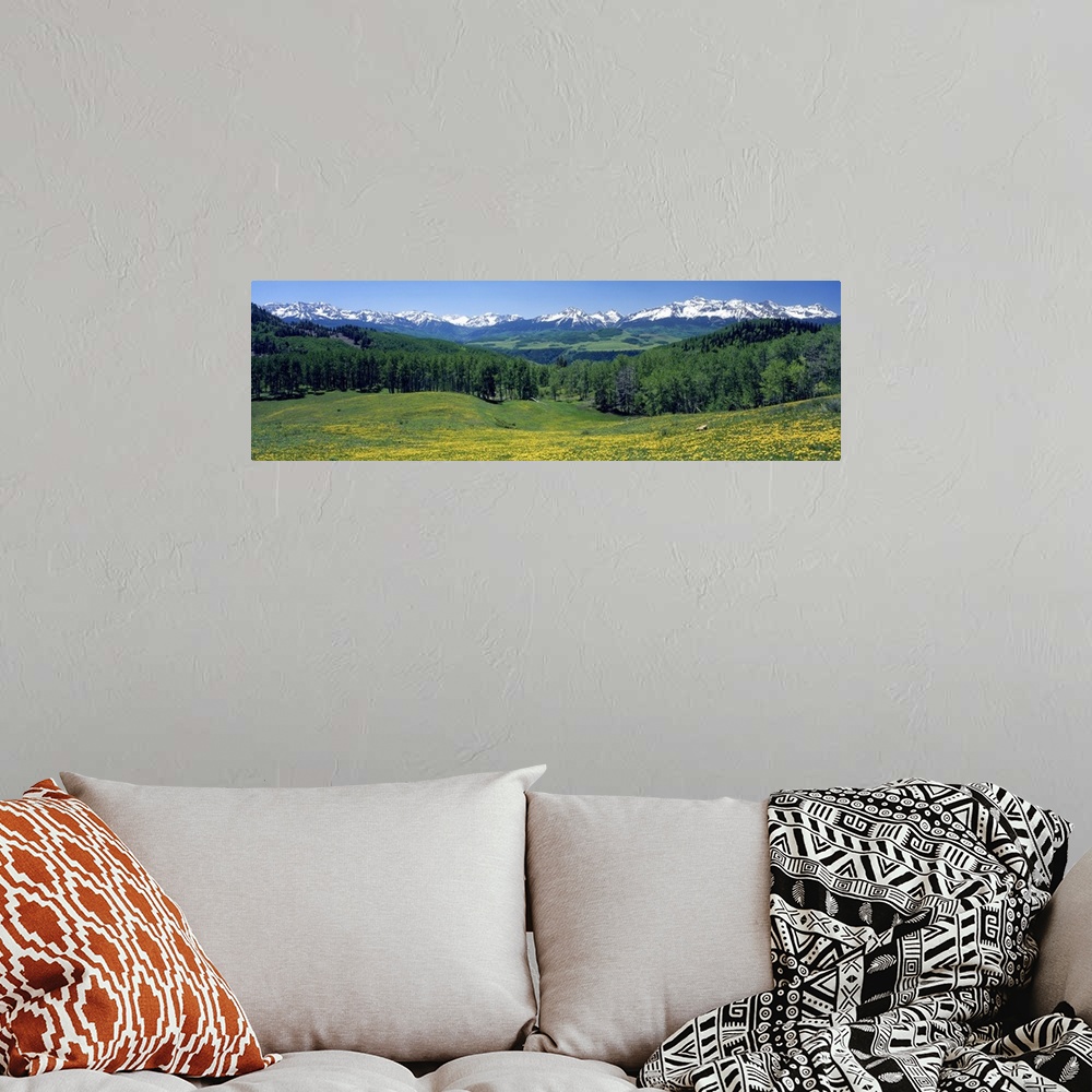 A bohemian room featuring Panoramic photograph of wildflower meadow with tree line in the distance and snow covered mountai...