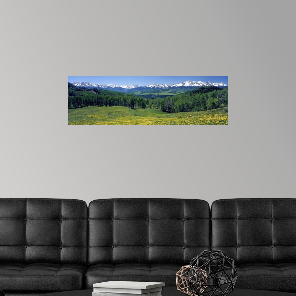 A modern room featuring Panoramic photograph of wildflower meadow with tree line in the distance and snow covered mountai...