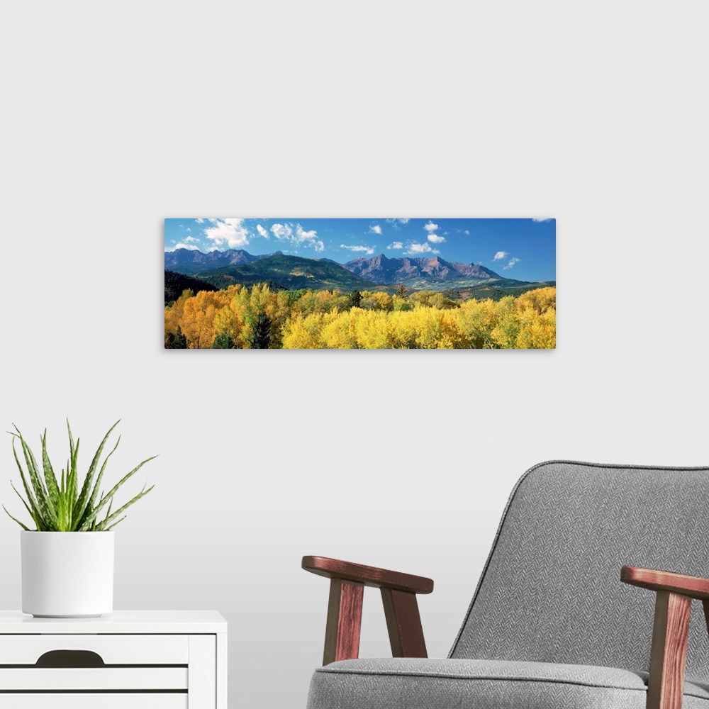 A modern room featuring Colorado, Uncompahgre National Forest