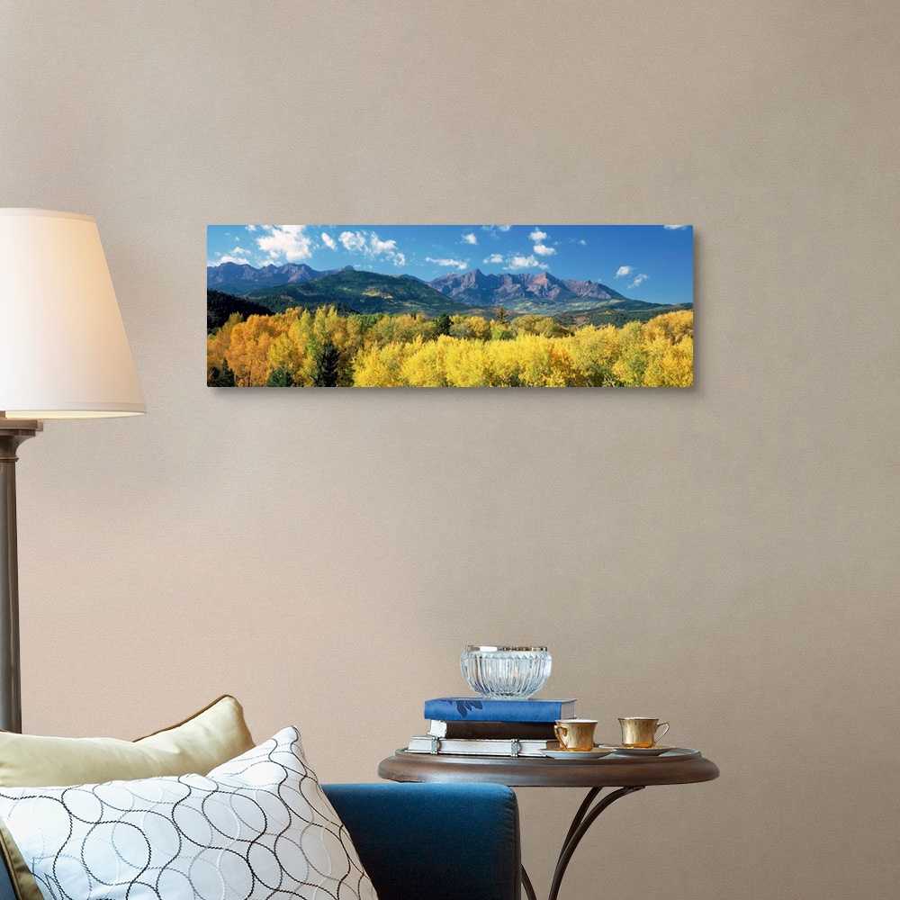A traditional room featuring Colorado, Uncompahgre National Forest