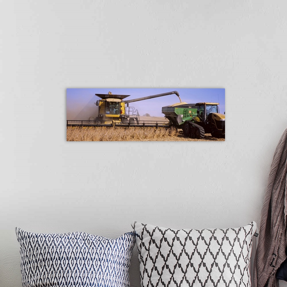 A bohemian room featuring Combine harvesting soybeans in a field, Minnesota