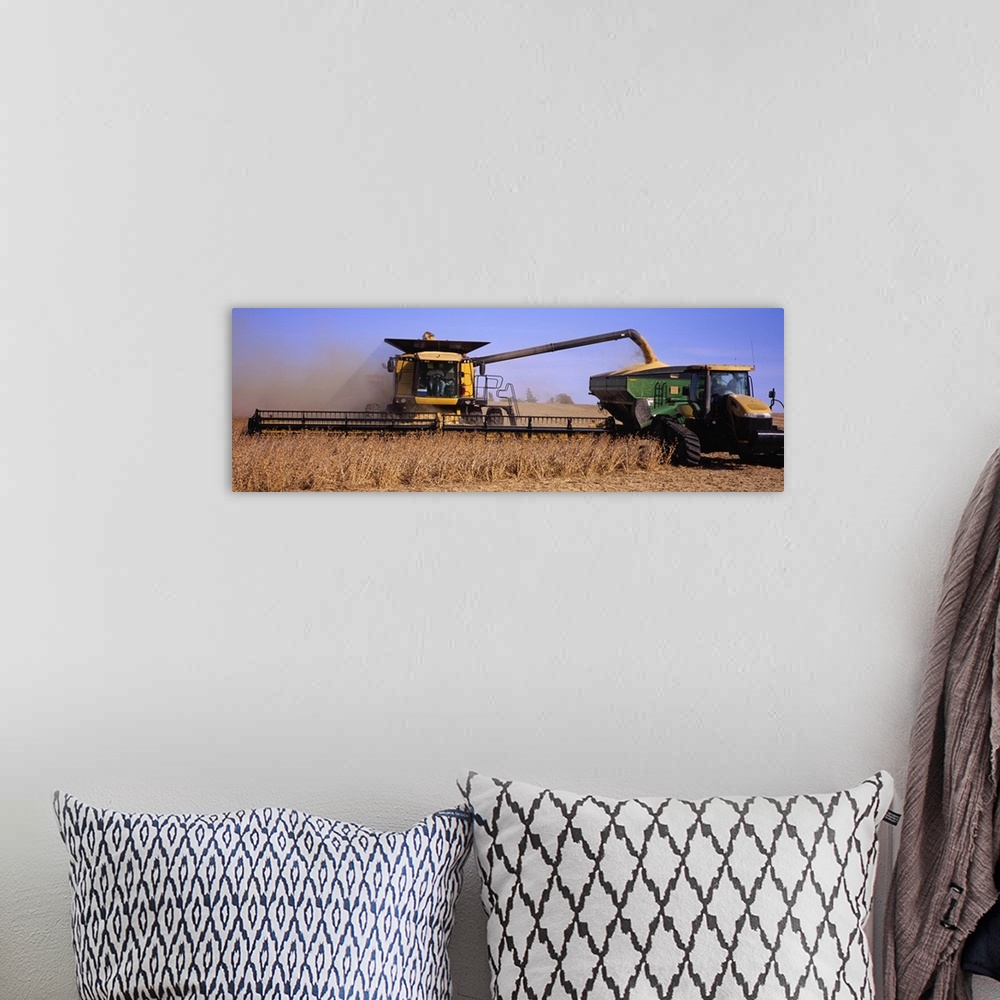 A bohemian room featuring Combine harvesting soybeans in a field, Minnesota