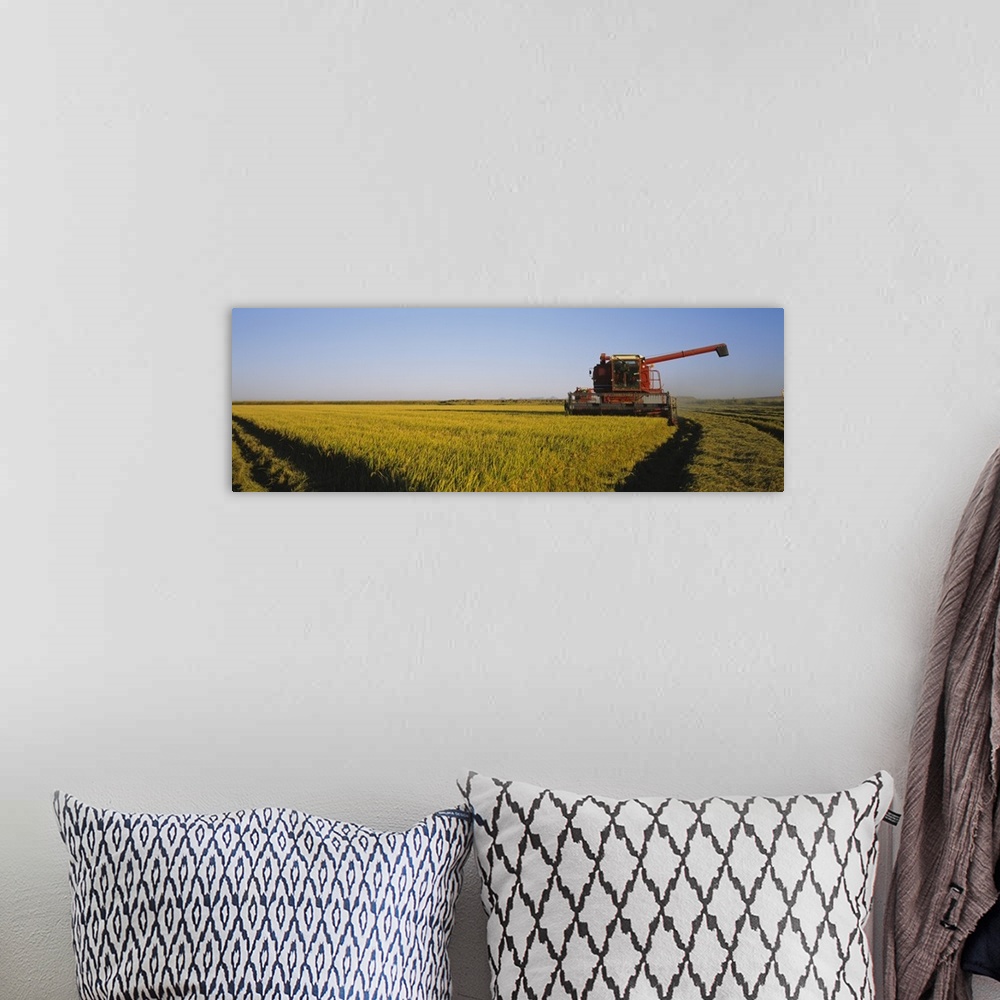 A bohemian room featuring Combine in a rice field, Glenn County, California
