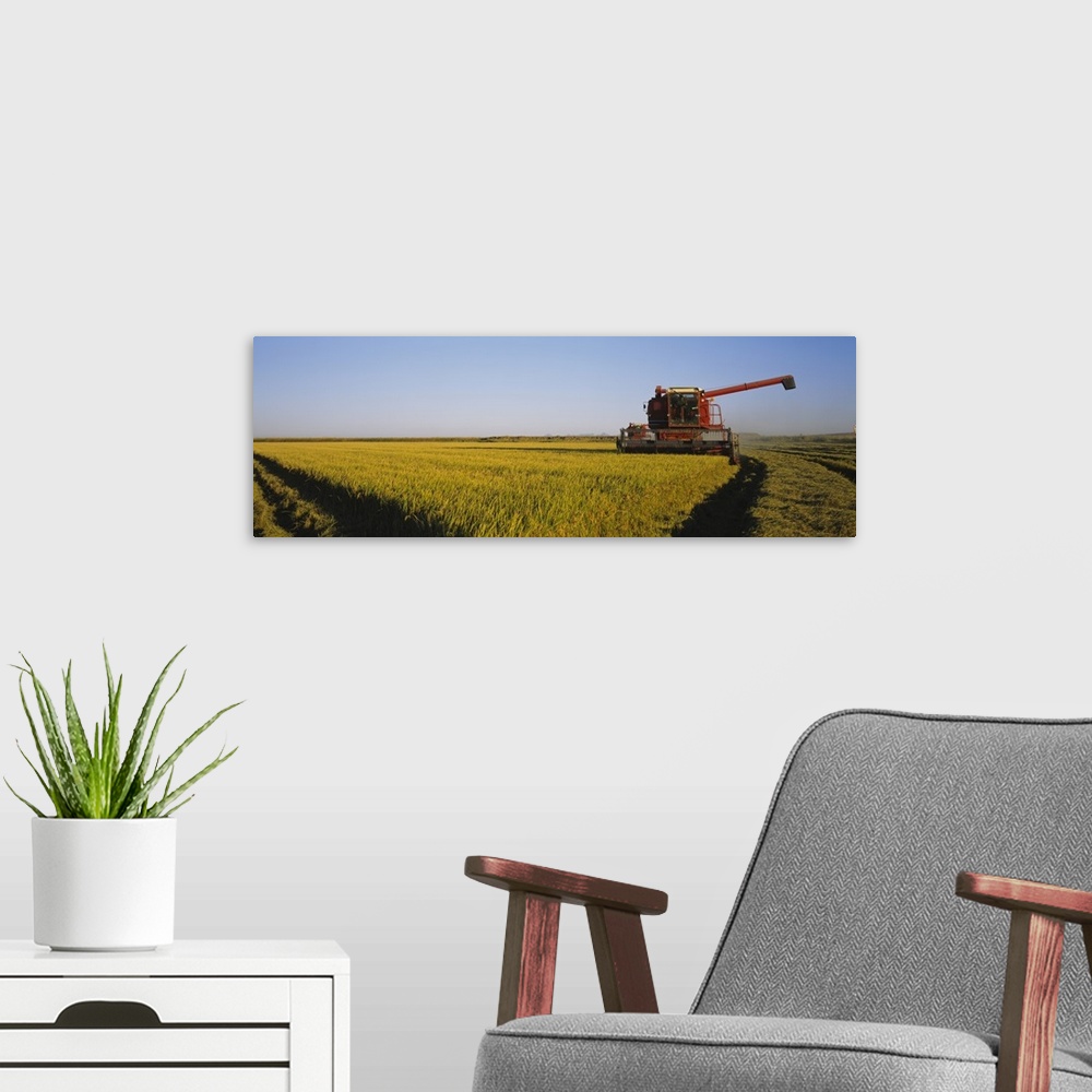 A modern room featuring Combine in a rice field, Glenn County, California
