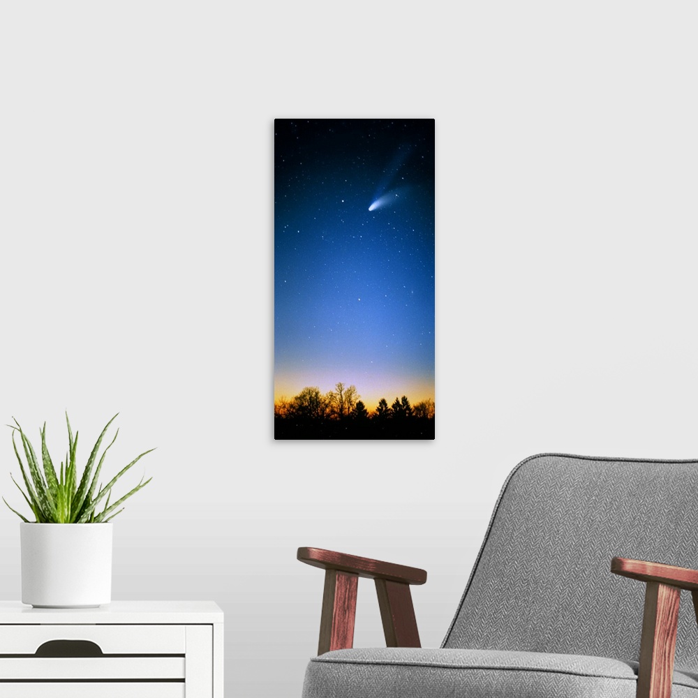 A modern room featuring Comet (Photo Illustration)