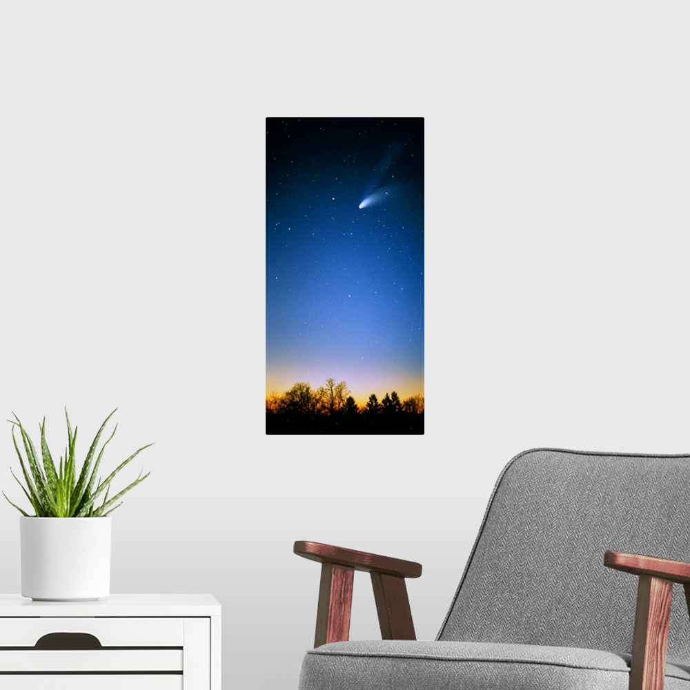 A modern room featuring Comet (Photo Illustration)