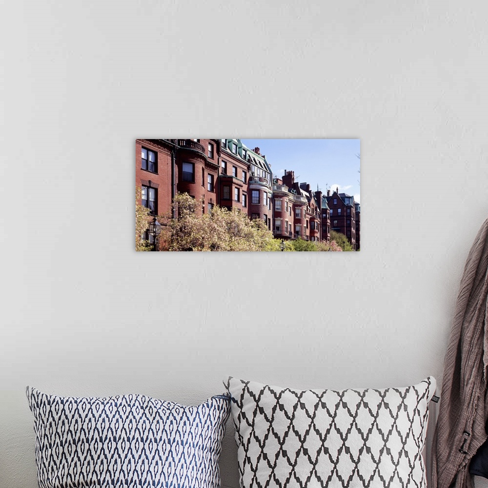 A bohemian room featuring Wide angle photograph of tree tops in front of a row of brick buildings along Commonwealth Avenue...