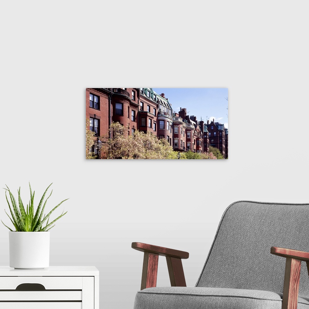 A modern room featuring Wide angle photograph of tree tops in front of a row of brick buildings along Commonwealth Avenue...