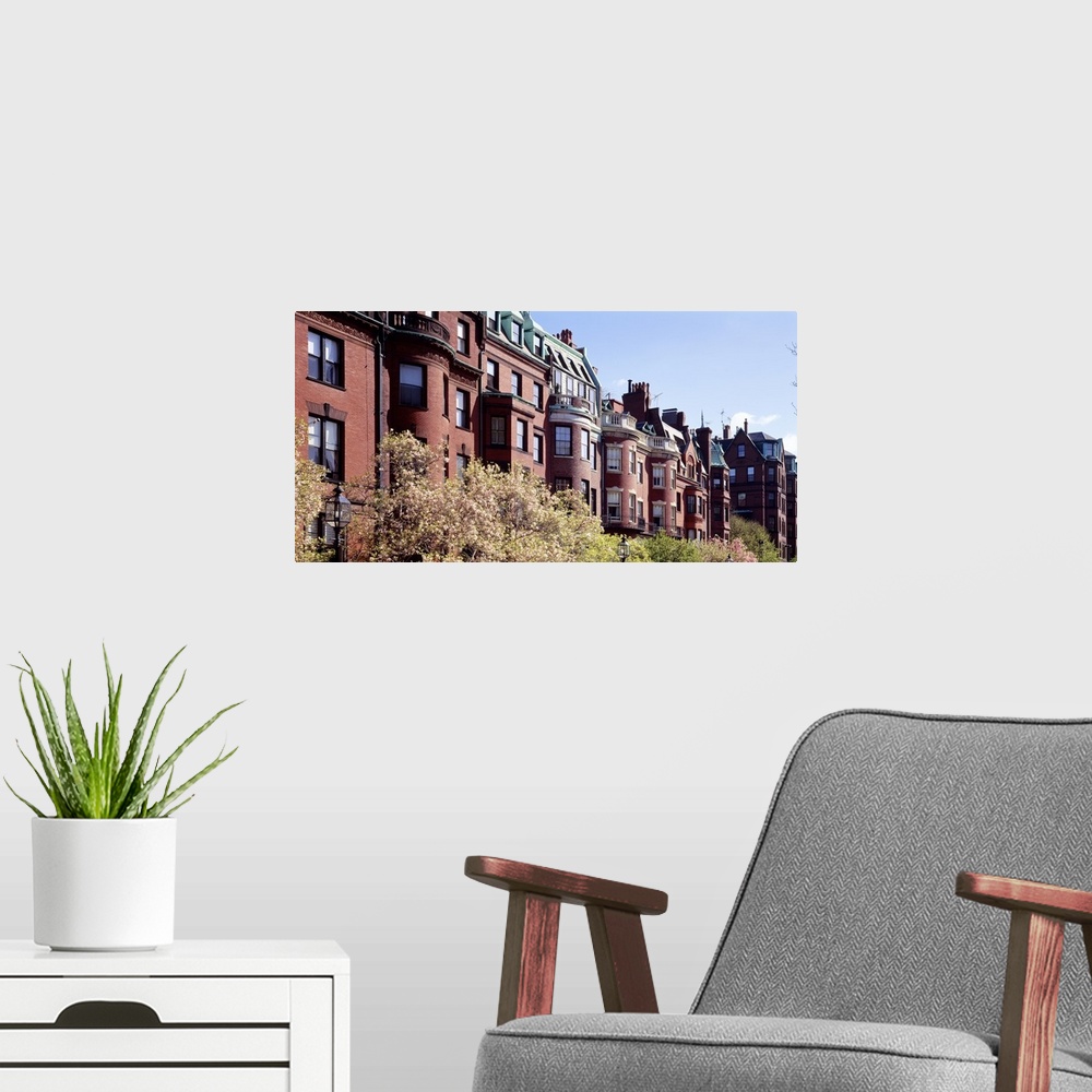 A modern room featuring Wide angle photograph of tree tops in front of a row of brick buildings along Commonwealth Avenue...