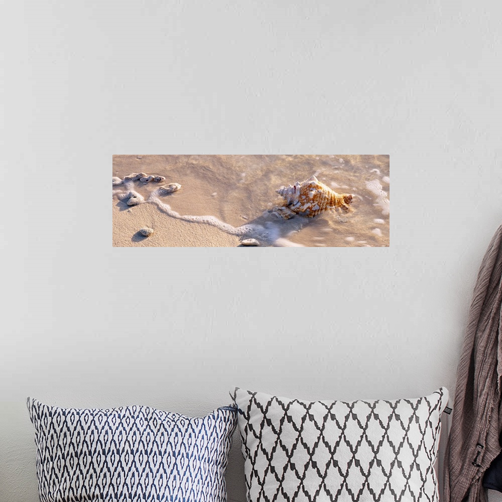 A bohemian room featuring A close up photograph turned into panoramic wall art of waves washing shells on to sandy a tropic...