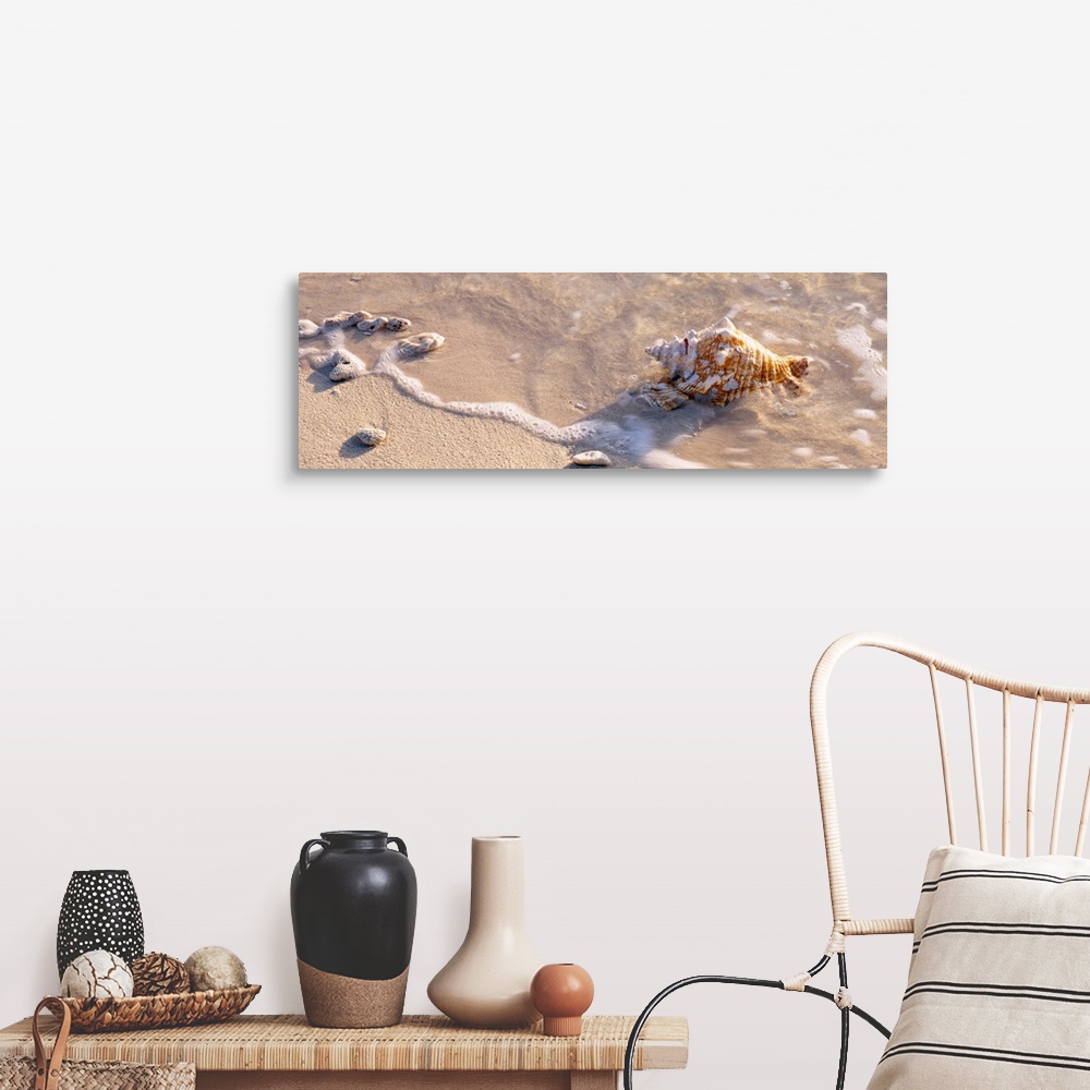 A farmhouse room featuring A close up photograph turned into panoramic wall art of waves washing shells on to sandy a tropic...