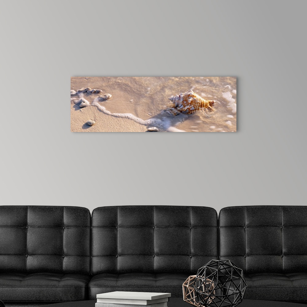 A modern room featuring A close up photograph turned into panoramic wall art of waves washing shells on to sandy a tropic...