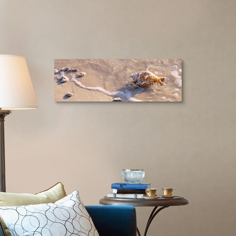 A traditional room featuring A close up photograph turned into panoramic wall art of waves washing shells on to sandy a tropic...